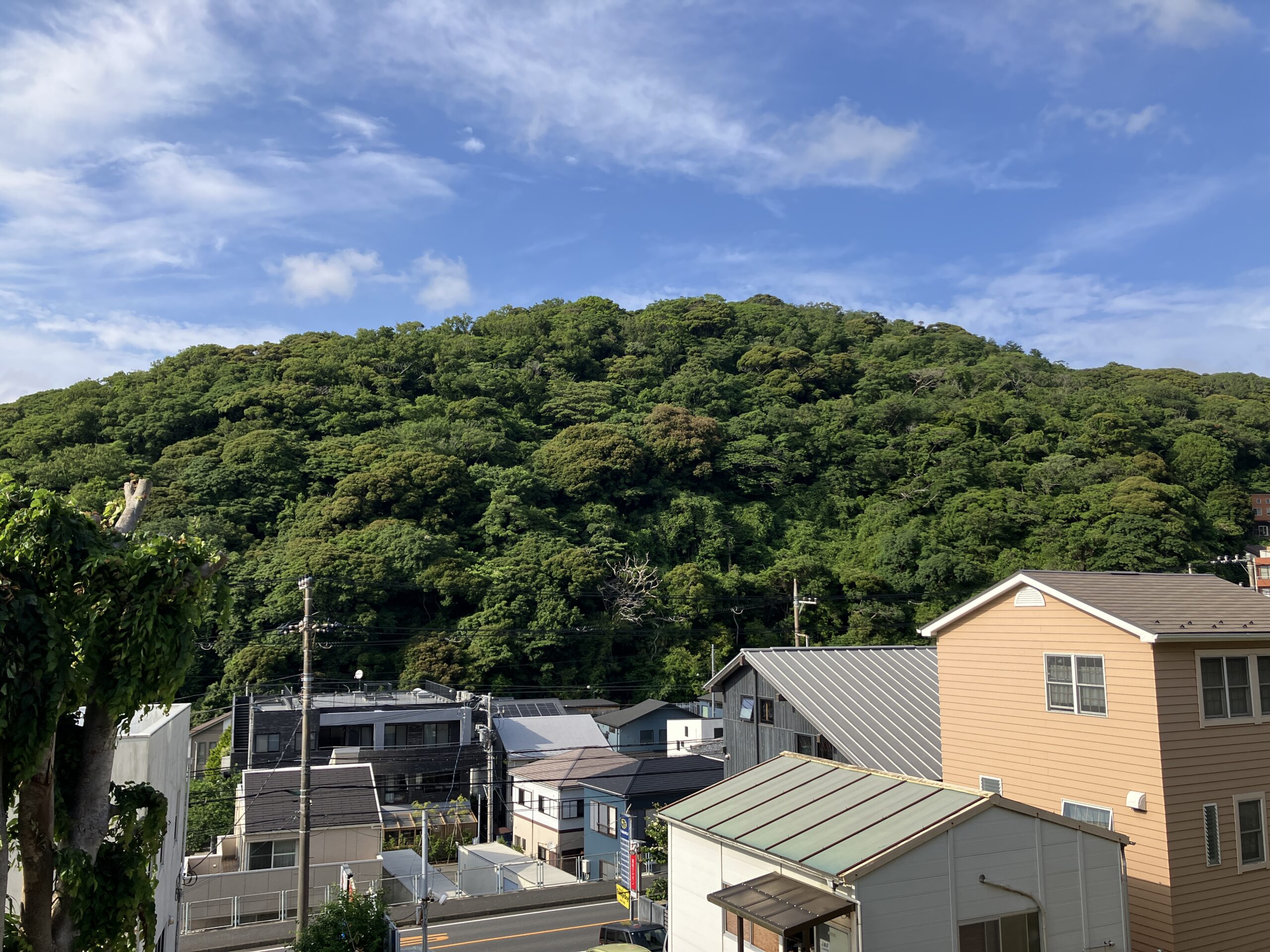 海を想い稜線を望む一色山中 | 三浦郡葉山町一色 売地 90坪以上
