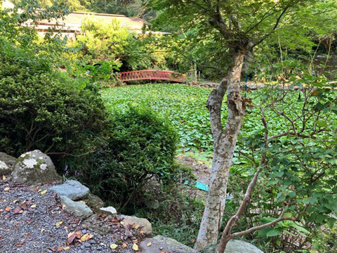 広大な自然の山林！レジャー等の事業用地に | 厚木市飯山売地