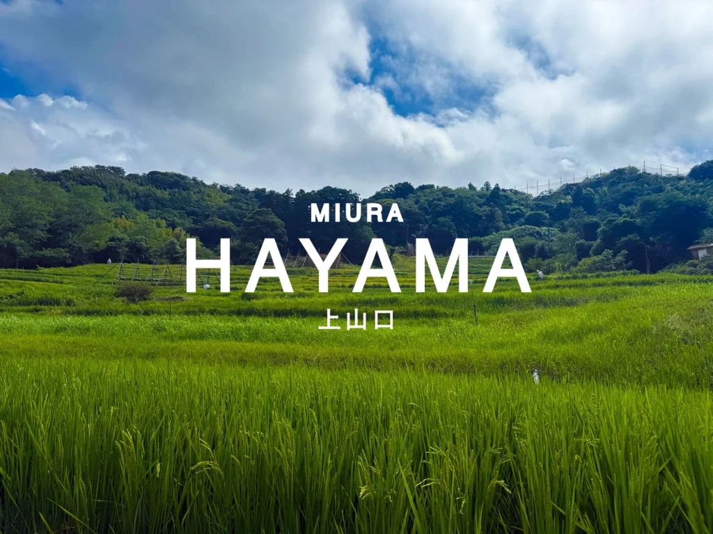 葉山町上山口の土や自然と繋がるくらし | 移住・田舎暮らしにおすすめの理由５選